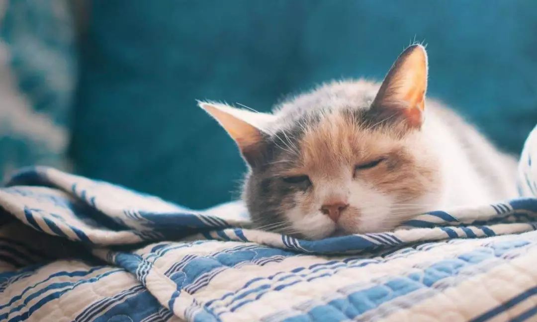 新手宝妈十大避坑,宝妈避坑小知识