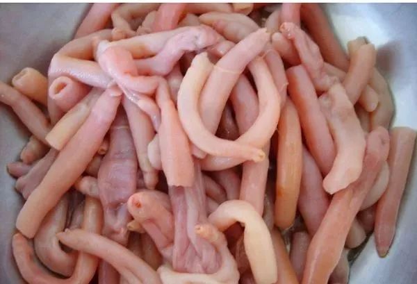 海肠海虹,海虹鲍鱼和海肠