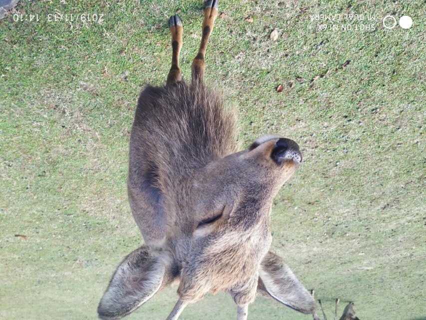 3月底日本关西8日游攻略,日本关西旅游攻略七日游