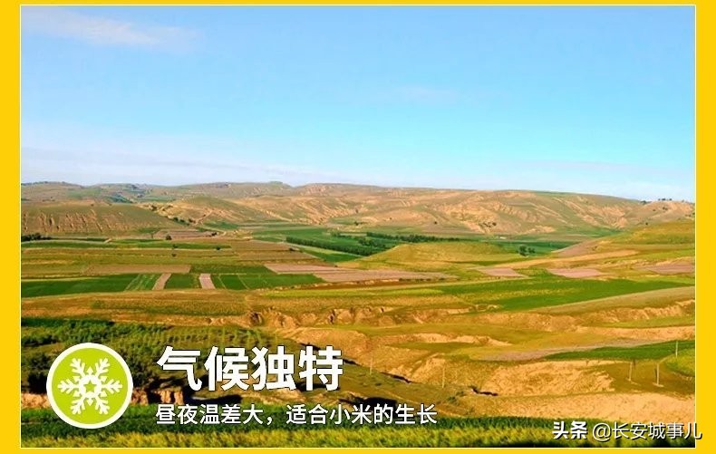 那年愿,那年愿产品介绍