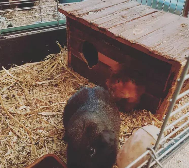 瑞士原来如此美丽,瑞士的风景是不是真的很美