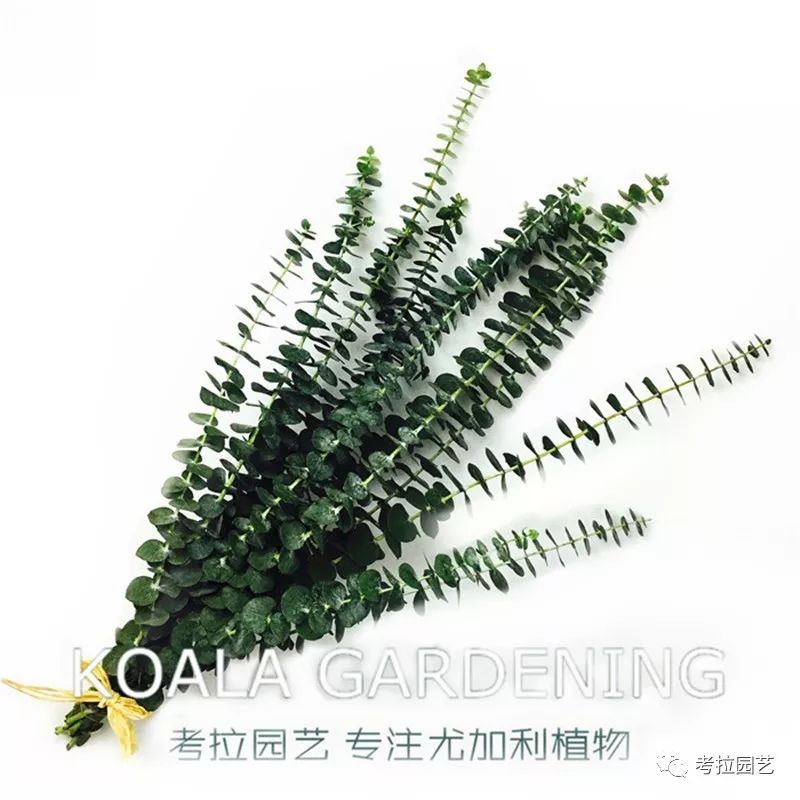 大地的恩赐图片,大地的馈赠是大天域吗