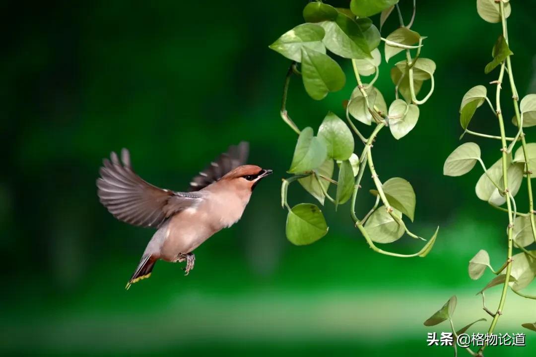 初三复习资料推荐全一册,超级好用的复习资料