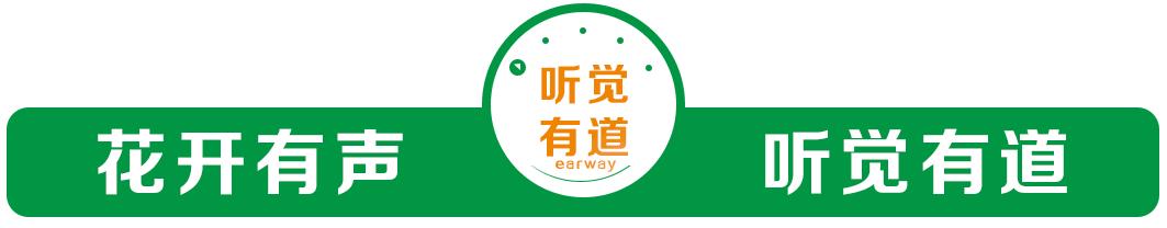 听力障碍的人考驾驶证,听力障碍可以考驾照吗