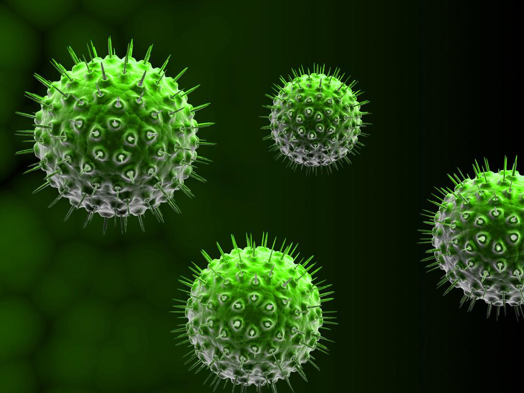 念珠菌包皮炎怎么做实验室检查,怎么诊断念珠菌和真菌感染的区别