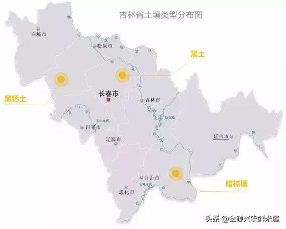 吉林大米比五常大米更好,吉林大米的特点