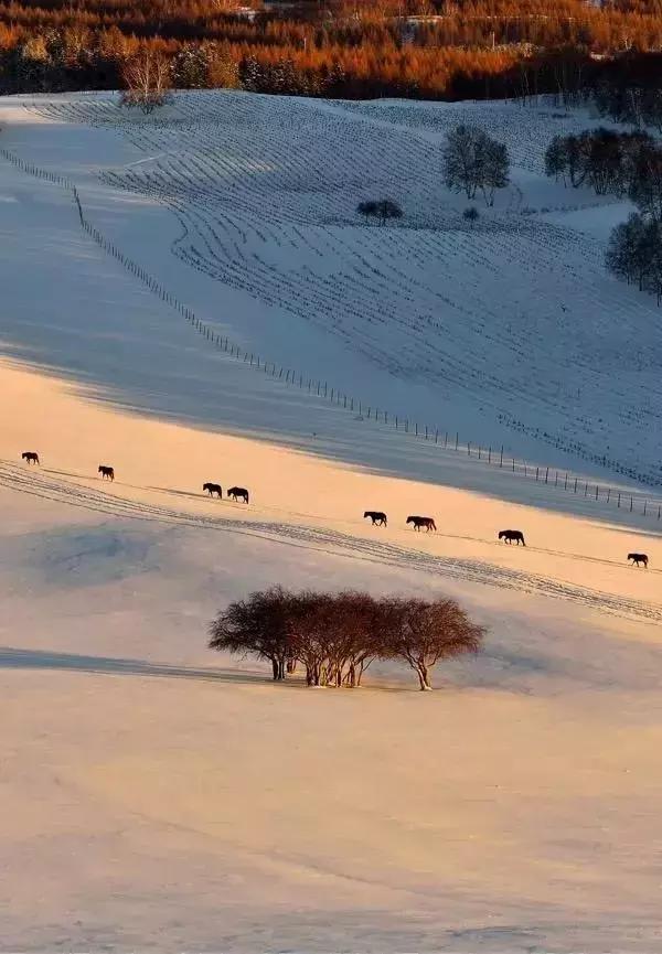 中国最美雪景地方,最适合旅游的雪国