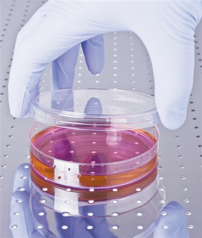 国内批准的干细胞治疗机构,中国干细胞治疗新进展