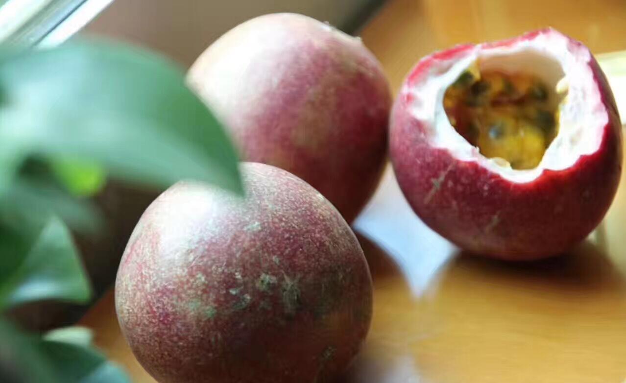 补钙吃什么食物水果最好,含钙高的食物和水果排行榜