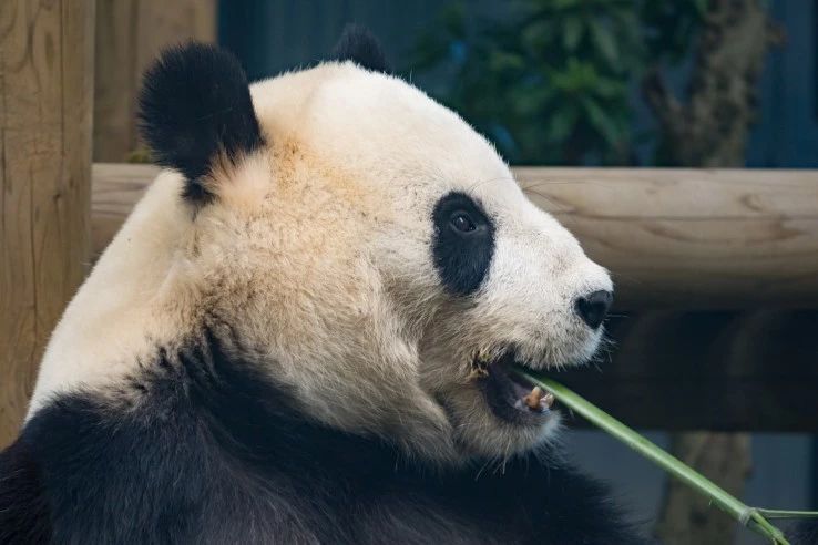 摄影拍照怎么避免雾气,拍照如何除去雾感