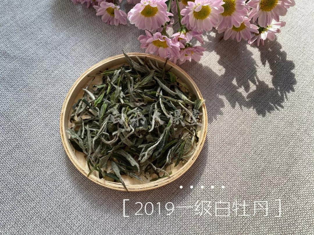 白茶好茶的标准,怎么样的白茶才是好茶