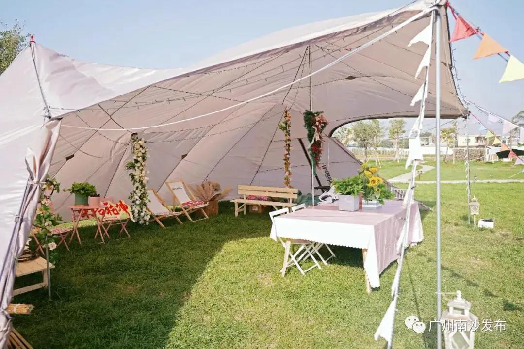 广州现在花开的季节,广州现在什么花开了