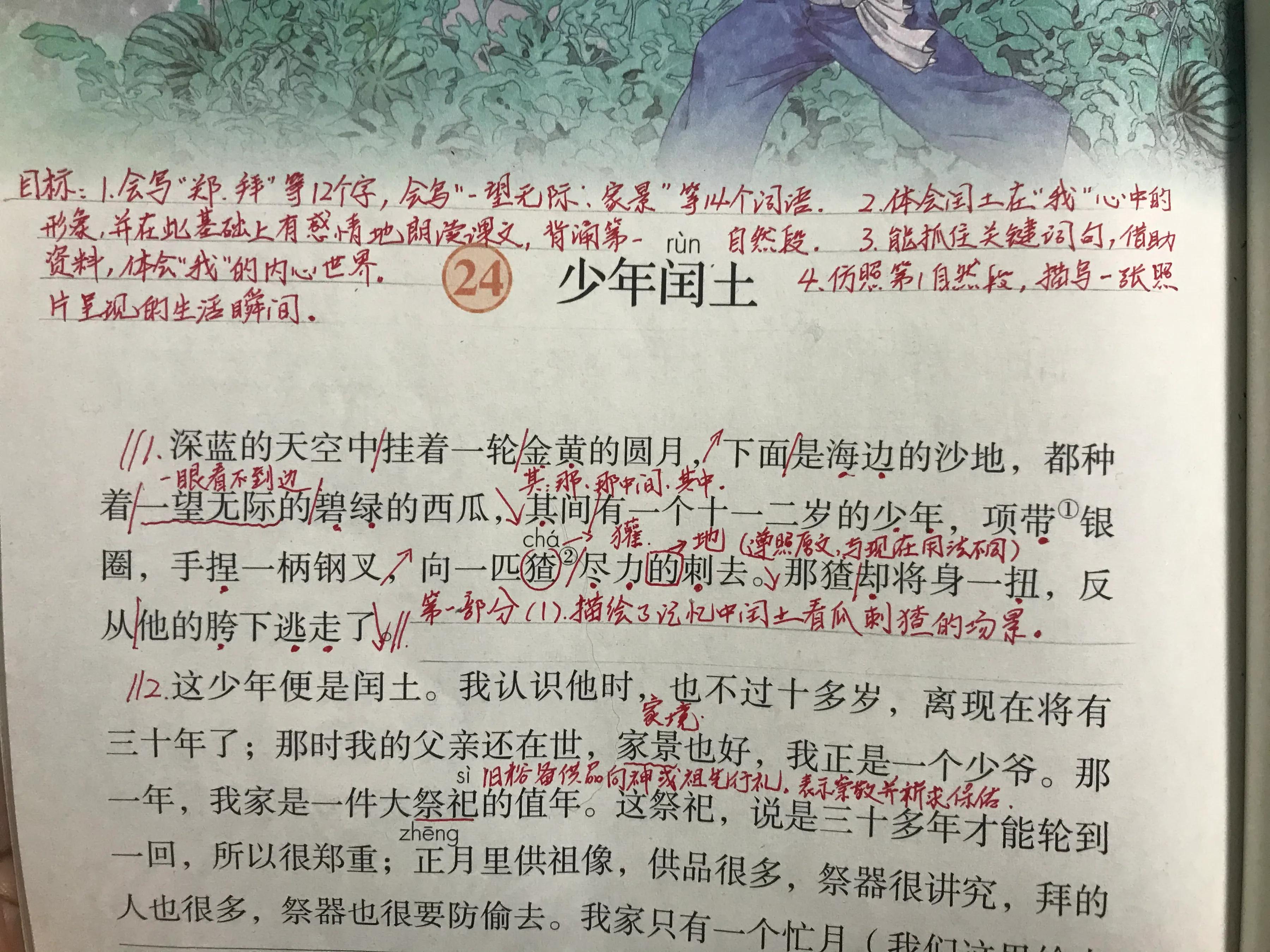 六年语文《少年闰土》,看资深教师讲解全文和课后题,知识点不少
