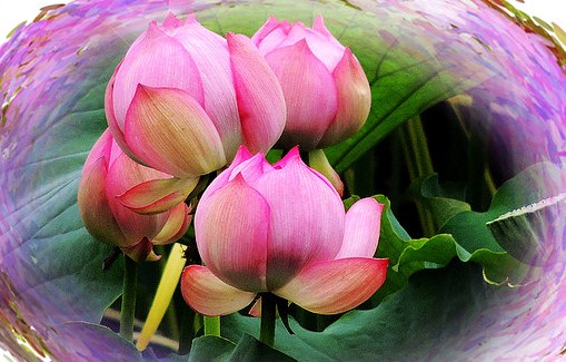 正宗章丘特产手打铁锅,山东章丘特产有哪些