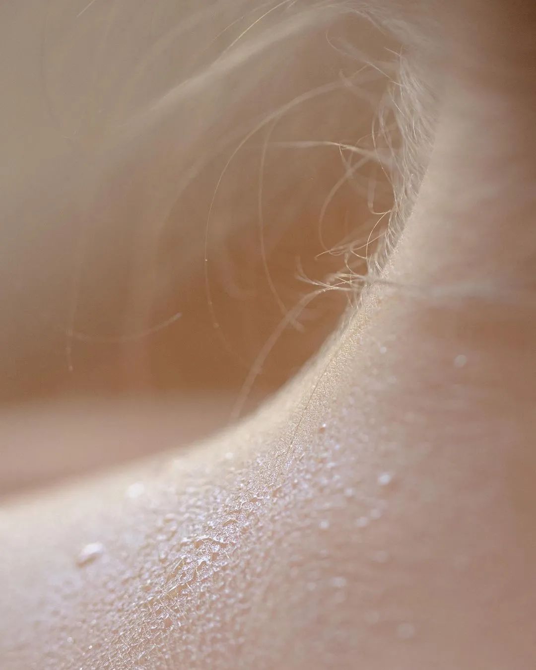 这些情而不色的「局部特写」,也太高级了吧