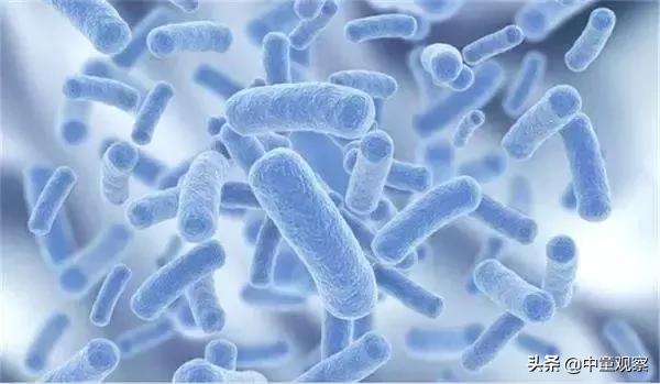 营养品营销方案大全,益生菌的功效及销售话术