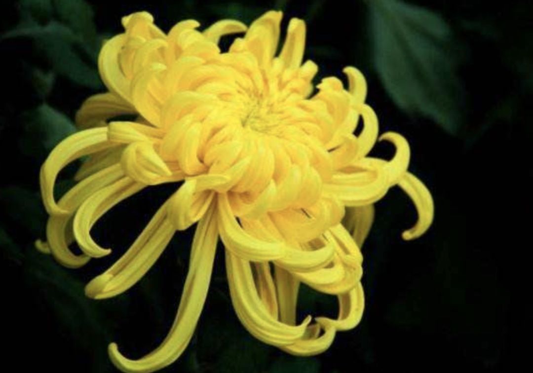 不是减脂补剂没用，而是你低估了自己