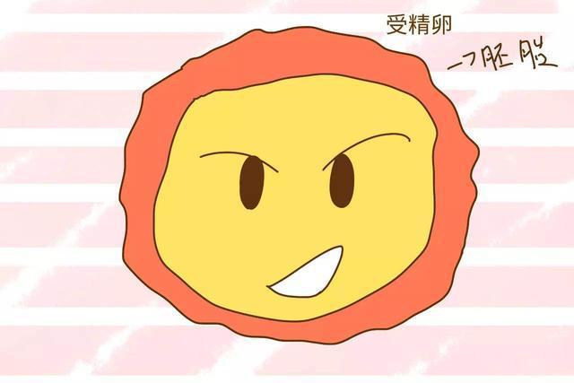 小蝌蚪不出来的时候去哪了,没出来的小蝌蚪去哪了