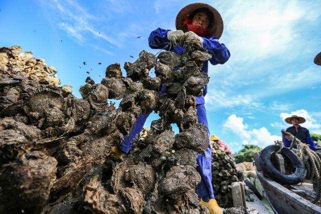 南海之滨温暖小城,佛山南海最宜居