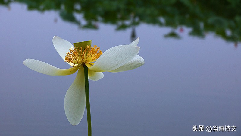 热爱生活从每日跑步开始,跑步让我感受健康和快乐