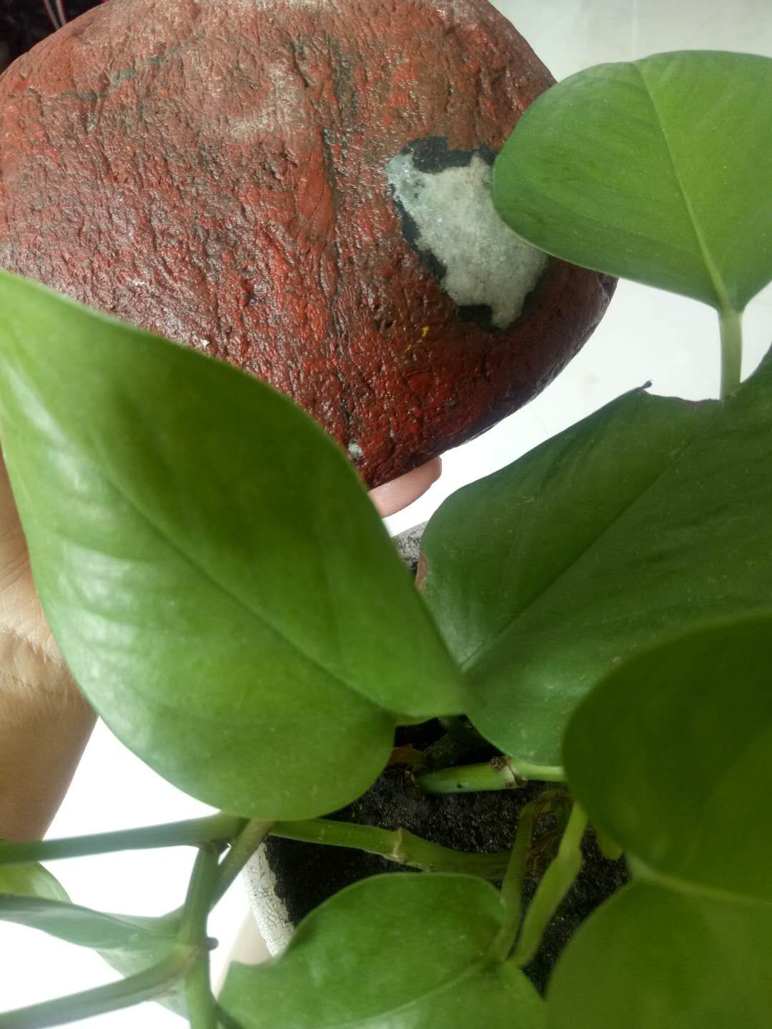 缘原创诗歌,石缘诗词