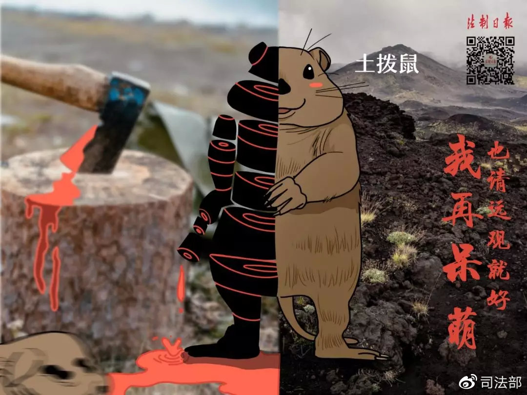 拒绝野味该做到的事情,呼吁大家拒绝野味怎么说