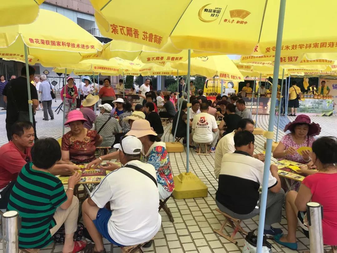 够级牌有多少变化,够级牌代表什么