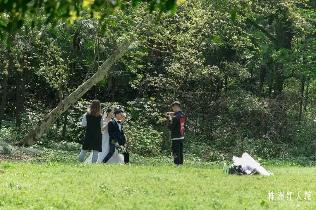 株洲神农公园老照片,株洲市神农公园