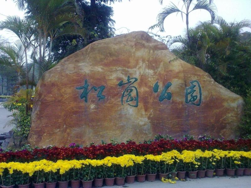 怀念在深圳松岗,深圳回不去的似水年华