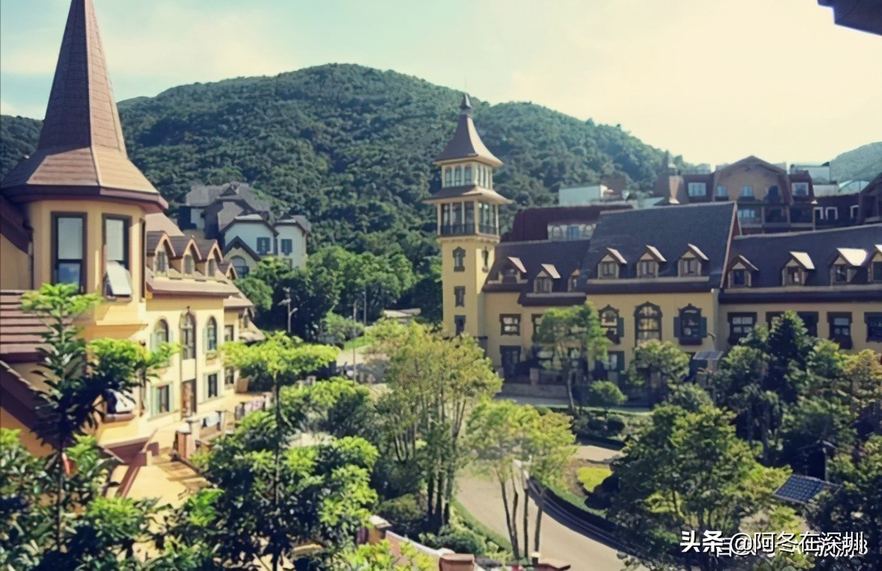 深圳一日游必去的十个免费景点,深圳一日游必去十大网红景点