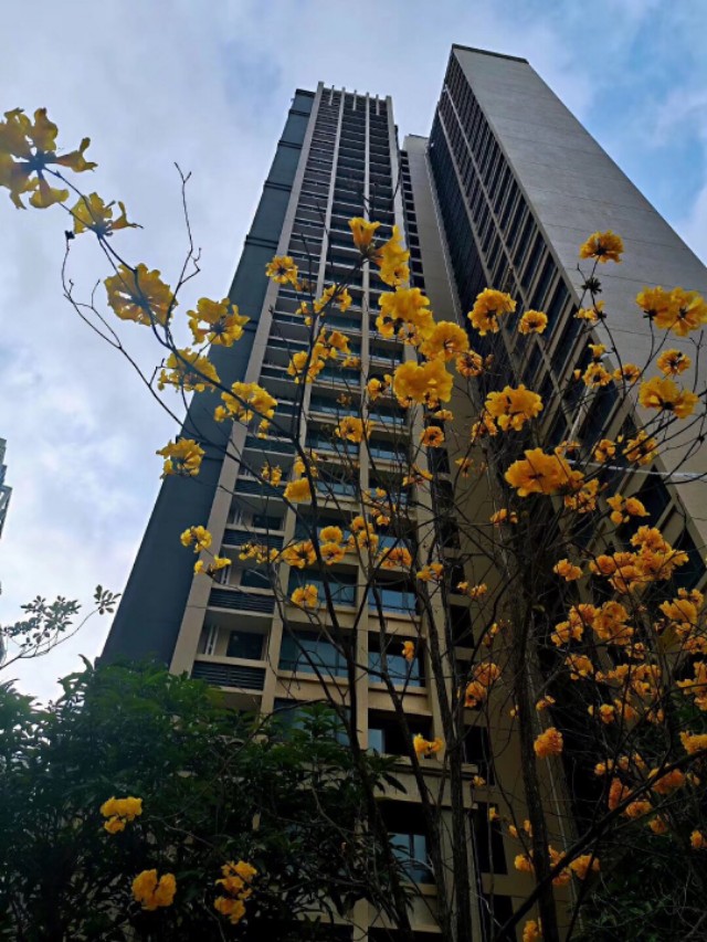 传说中的金沙,金沙世纪城最好小区