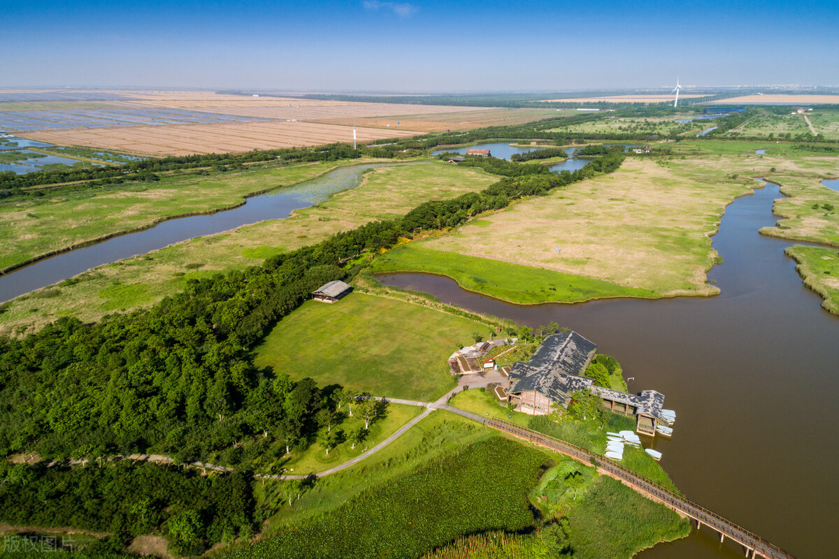 武磊上港徐根宝,徐根宝对武磊的要求