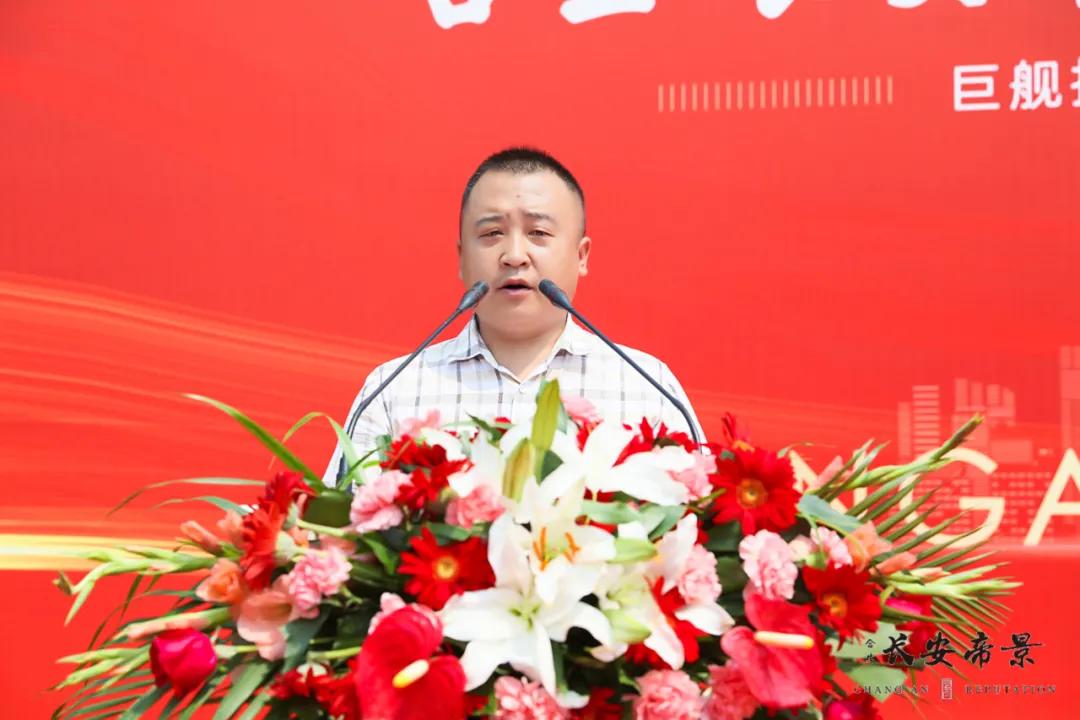 合生在北京开发的项目,北京市推进京津冀协同发展情况