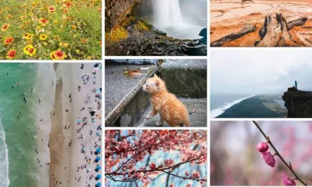 治愈正能量视频素材无水印无版权,免费高清图片素材网站