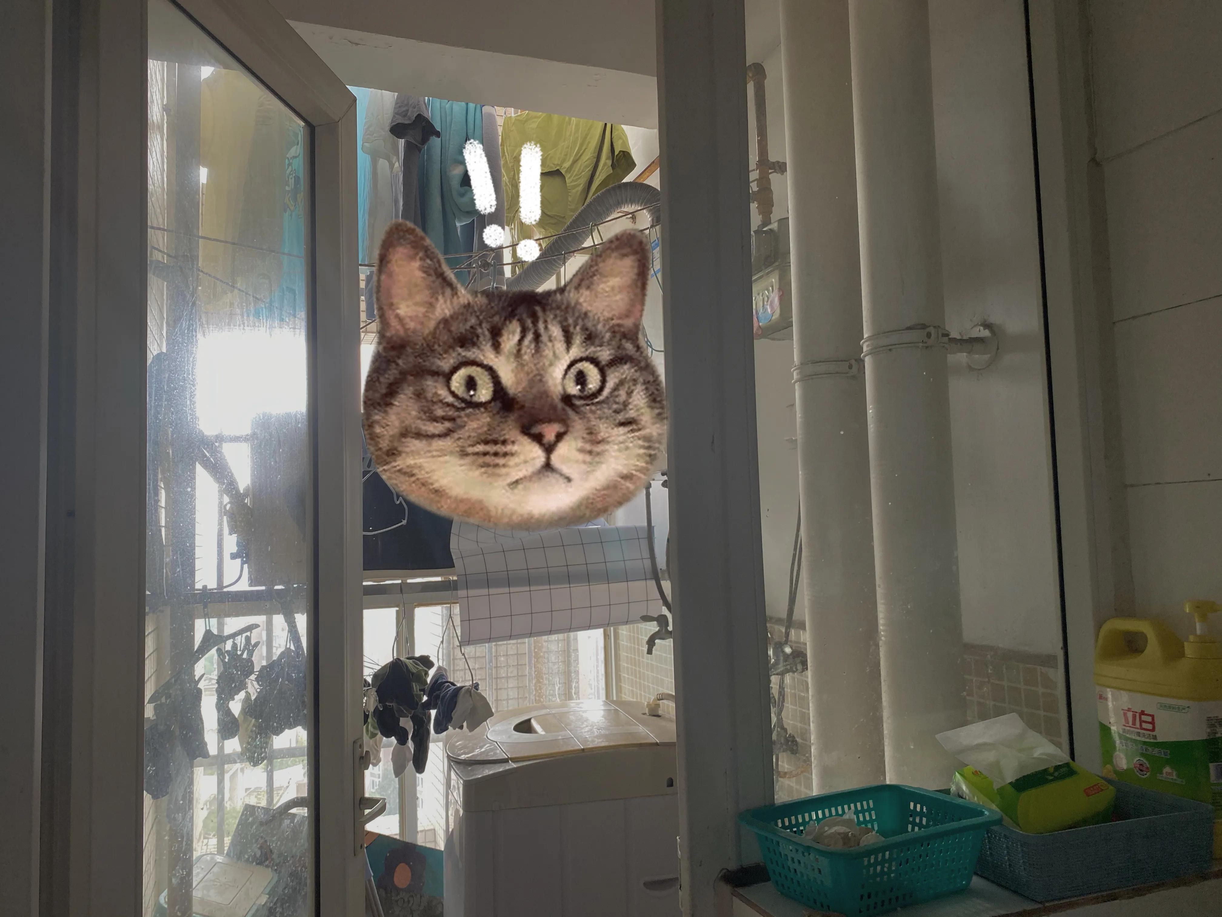 在成都800能租到什么样的房?