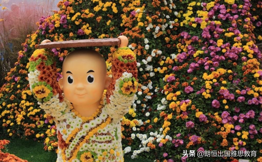 哪个学校可以学韩语和日语,哪个大学可以学韩语和日语