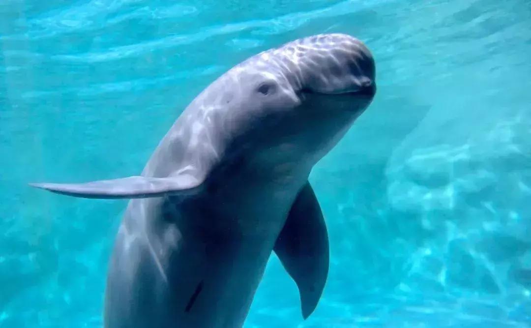 武汉刷屏了,武汉刷屏