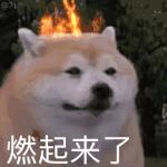 闲鱼潮人,我在闲鱼当卖家