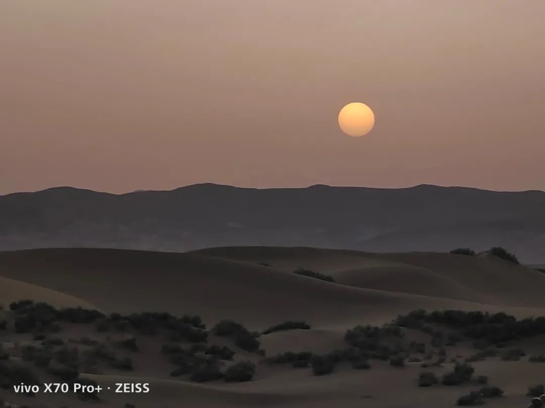 哪款手机拍照能比得上苹果13,iphone手机谁拍照最好用