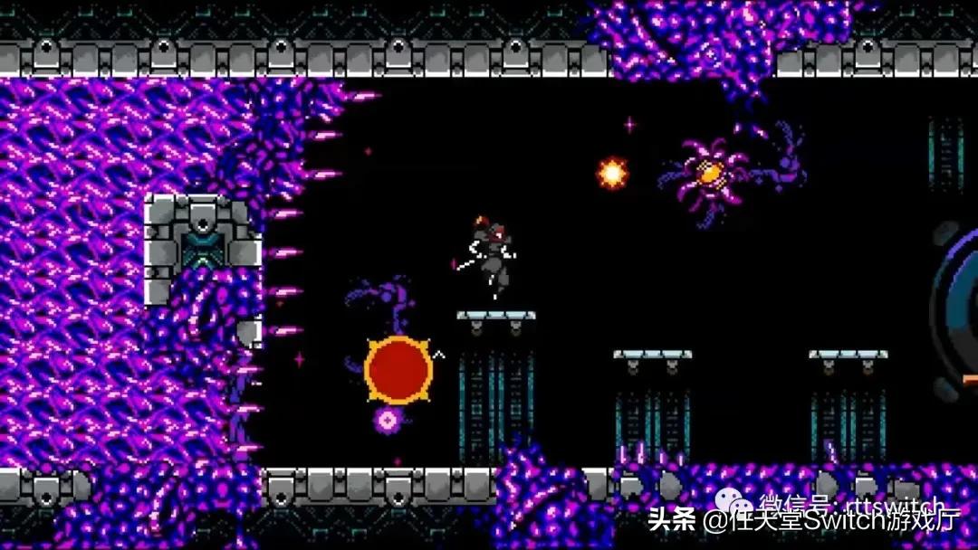 switch怪猎崛起任务毁灭之鸟龙,switch动物之森创建新号