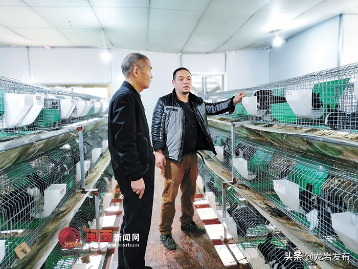 携手脱贫路共圆小康梦