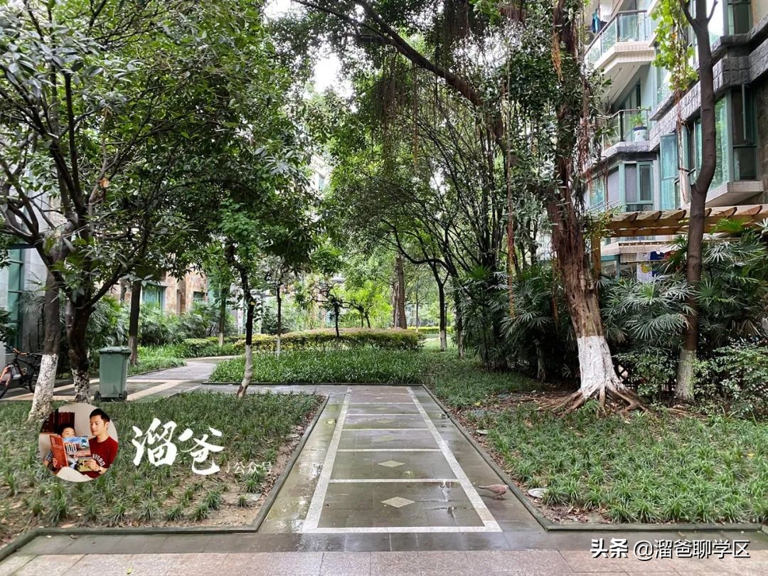 冯家湾村拆迁,神仙树冯家湾片区