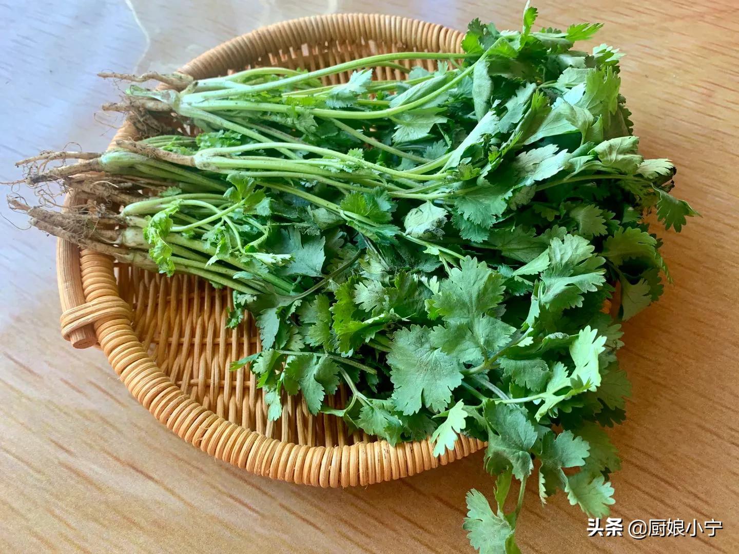 香菜种多了吃不完怎么保存,怎么保存香菜让香菜不坏