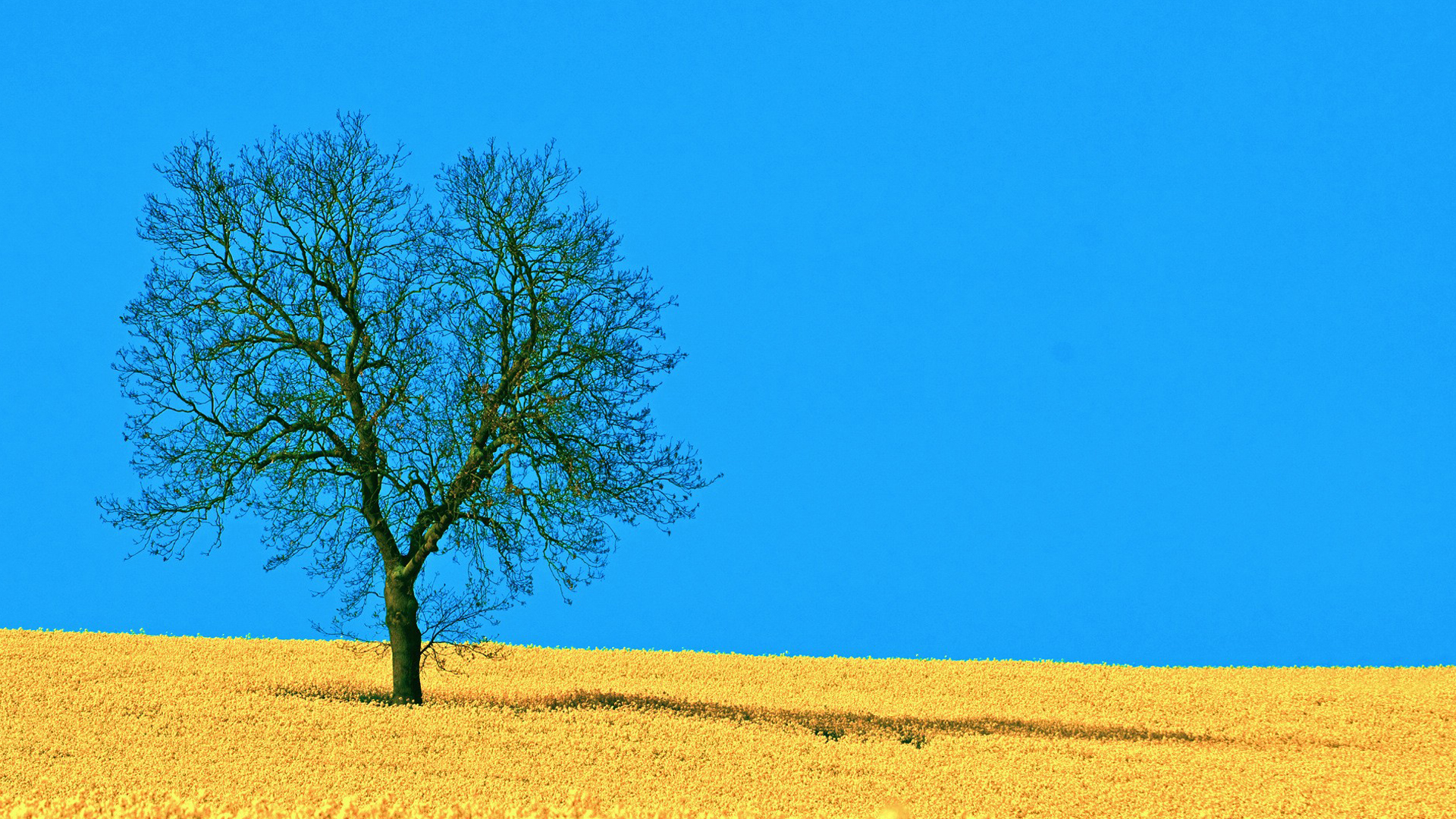 心理学上有的人为什么那么暴躁,心理学发脾气的人才最值得深交