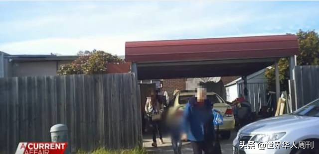 澳洲奶粉为什么不涨,国内卖的澳洲奶粉