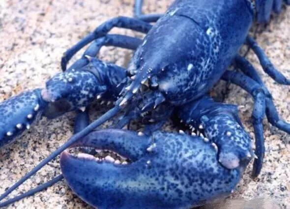 美业从90年到2020年发展史,2021年美业发展遇到的困局