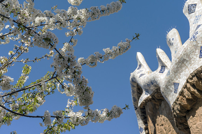 西班牙巴塞罗那之行,西班牙巴塞罗那时尚之旅