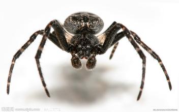 加盟项目受骗,加盟创业可以防止被骗吗