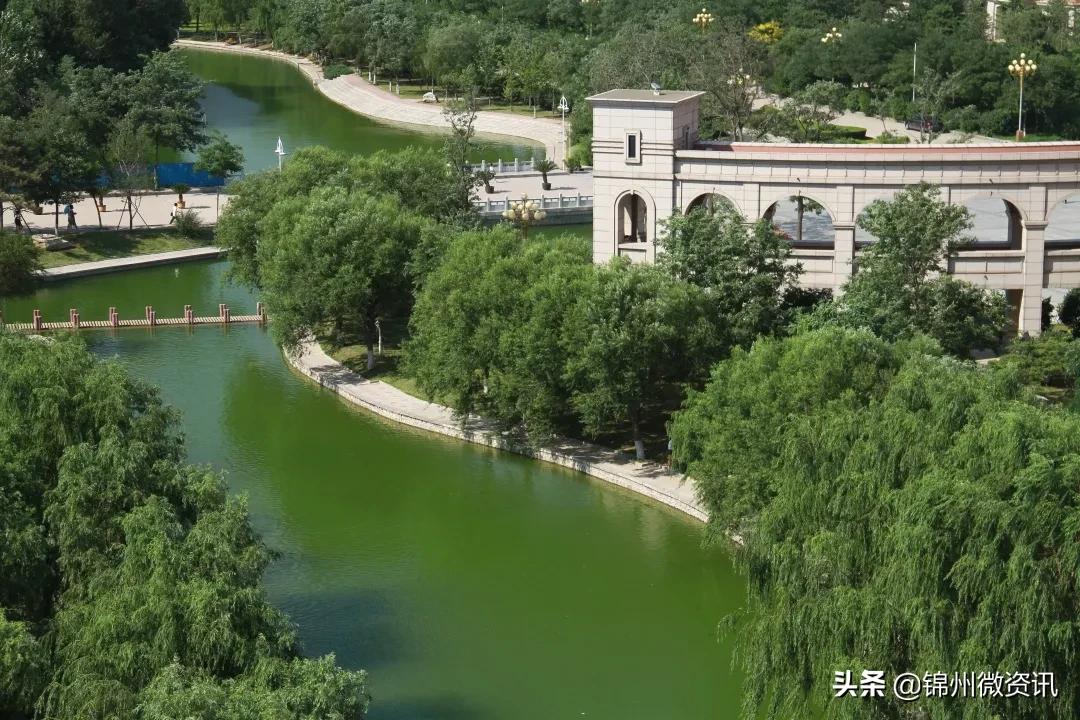 锦州渤海大学校庆献礼!纸短情长,写给我深爱的渤大