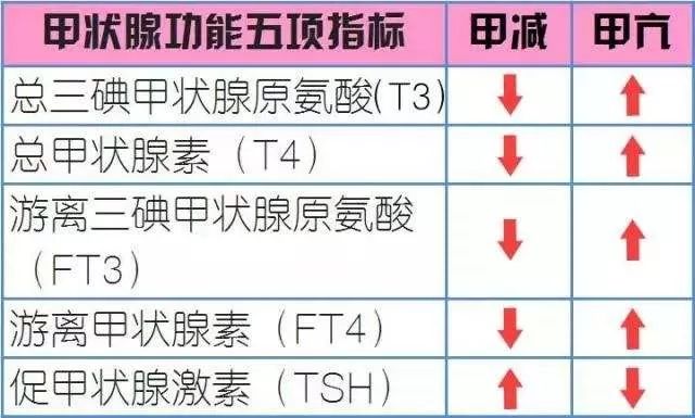 如何解读甲状腺功能的报告单,一文教你看懂甲状腺功能检查报告